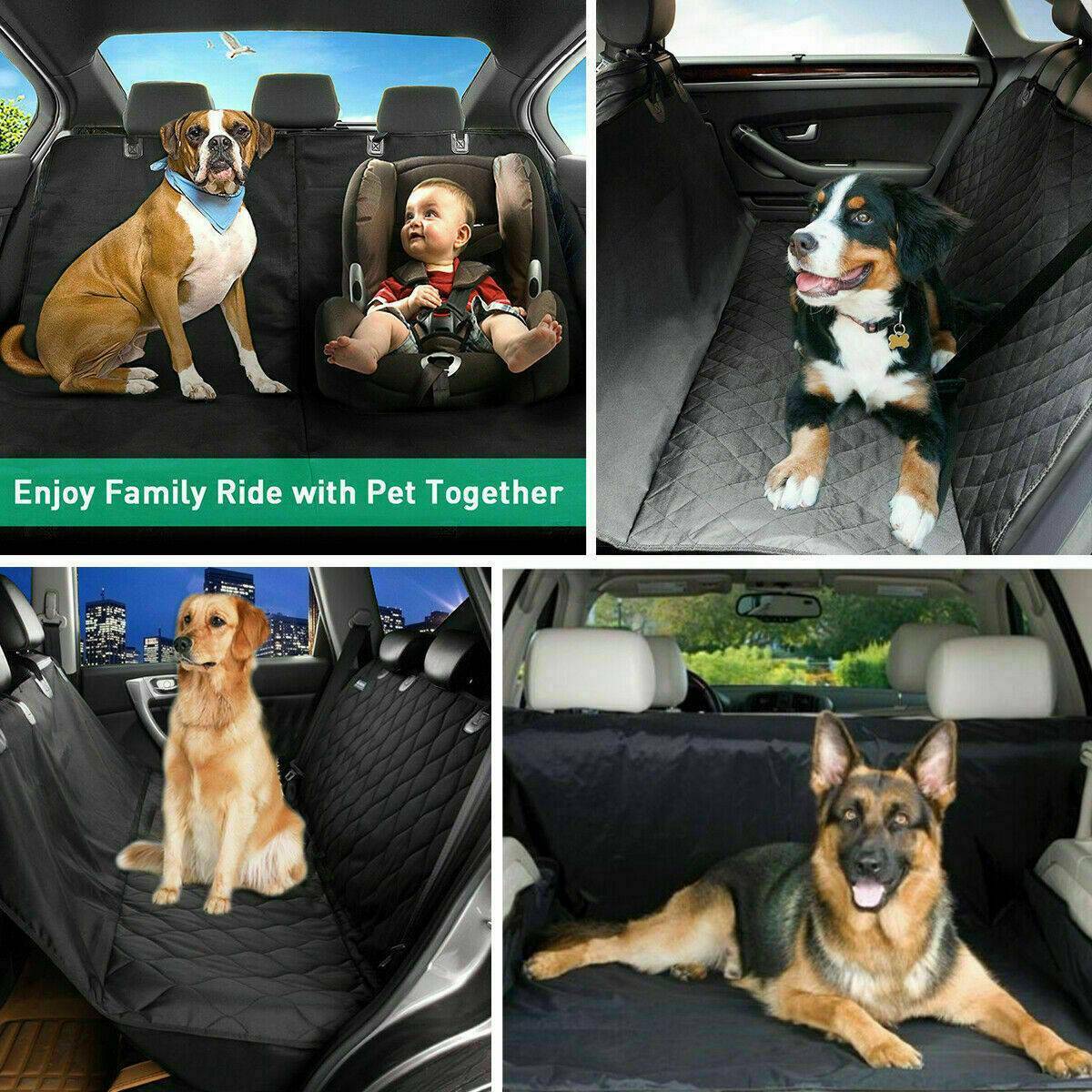 f12ad281b9b7fbb36f1fe2e298a3f785