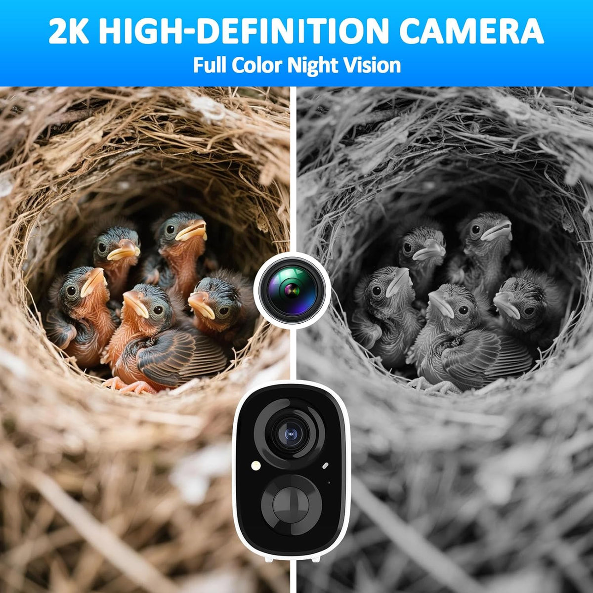 Solar-Powered Smart Birdhouse with 4MP Camera.