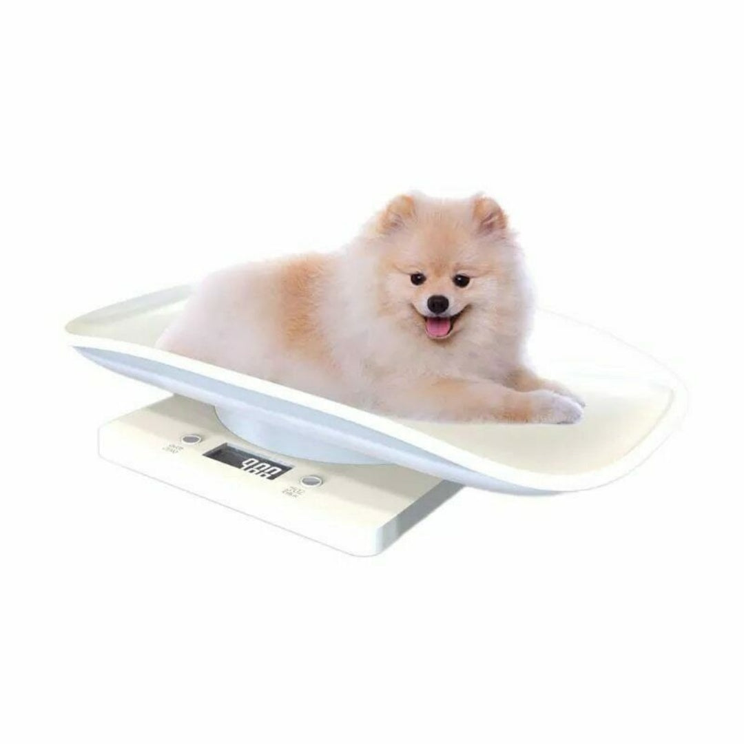 Digital LCD Pet Weighing Scale (10kg).