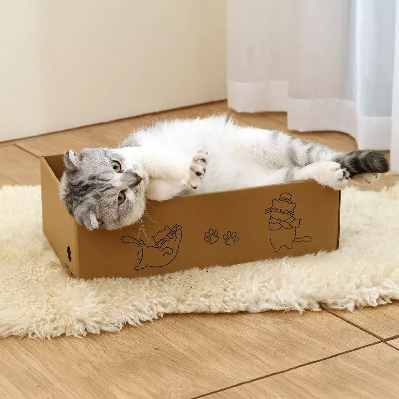 Corrugated Cardboard Cat Scratcher Box (5-Pack).
